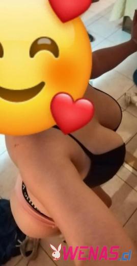 Escort chilena tetona complace