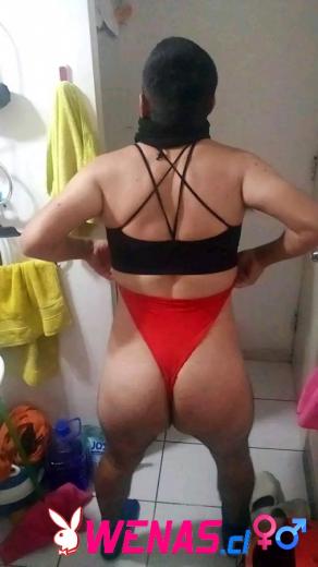 Cariñoso y divertido
