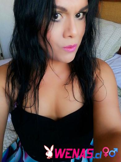 Trans Chilena Dotada, Lechera y Full Morbo