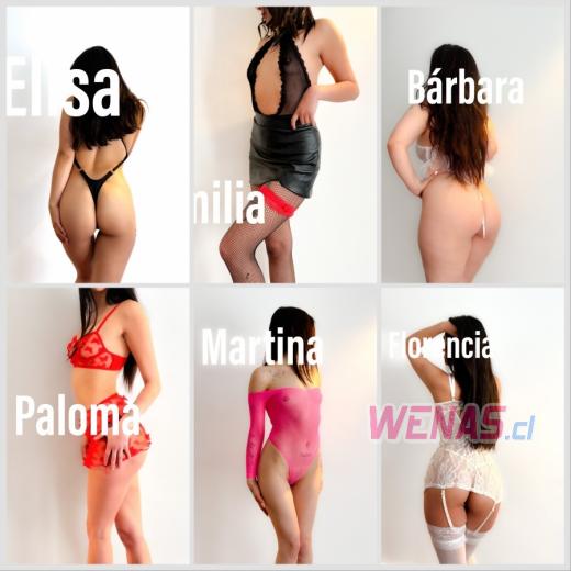 Exclusivas jovencitas chilenas en FEMME Viña del mar 