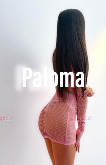 Paloma exclusiva chica chilena en Vina del mar 