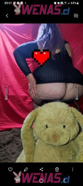 Harley curvy culote blanquita 
