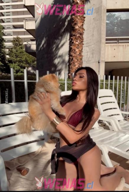Escort trans chilena