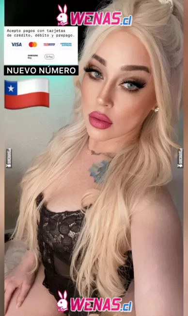 DIOSA TRANS CHILEN REAL EXPERTA EN CURIOSOS Y  PRINCIPIANTES