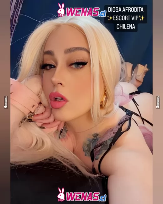 DIOSA TRANS CHILENA EXPERTA EN CURIOSOS Y  PRINCIPIANTES